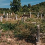Гробље у Костићима у Трнави (фото Бојан Радојичић)