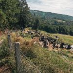 Гробље у Миловићима у Трнави (фото Бојан Радојичић)