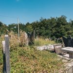 Гробље на потесу Стевановића гај у Злакуси (фото Бојан Радојичић)