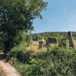 Гробље Врањача у Злакуси (фото Бојан Радојичић)