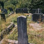 Споменик Љубомиру Глишићу на гробљу Врањача у Злакуси (фото Бојан Радојичић)