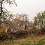 Гробље у Кесеровини, Биоска (фото Бојан Радојичић)