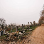 Гробље у Кесеровини, Биоска (фото Бојан Радојичић)