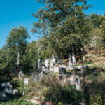 Лазића гробље у Биосци (фото Бојан Радојичић)