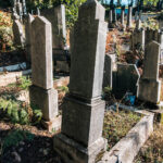 Споменик Алемпију Аћимовићу на Лазића гробљу у Биосци (фото Бојан Радојичић)