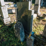 Споменик браћи Аћимовићима на Лазића гробљу у Биосци (фото Бојан Радојичић)