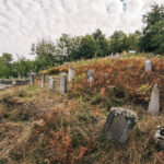 Певића гробље у Биосци (фото Бојан Радојичић)