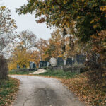 Рогића гробље на Пониквама у Биосци (фото Бојан Радојичић)