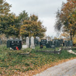 Рогића гробље на Пониквама у Биосци (фото Бојан Радојичић)