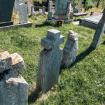 Споменик Бранку О. Радивојчевићу на Радивојчевића гробљу у Биосци (фото Бојан Радојичић)