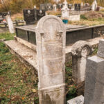 Споменик Милисаву Николићу на Ћелском гробљу у Дрежнику (фото Бојан Радојичић)