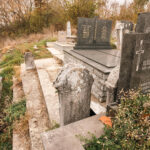Споменик Тијосаву Николићу на Ћелском гробљу у Дрежнику (фото Бојан Радојичић)