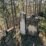Споменик Алекси Нешевићу на Нешевића гробљу у Кремнима (фото Бојан Радојичић)