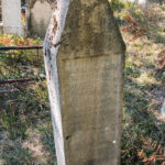 Споменик Периши Нешевићу на Нешевића гробљу у Кремнима (фото Бојан Радојичић)