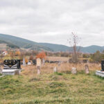 Николића гробље у селу Кремна (фото Бојан Радојичић)