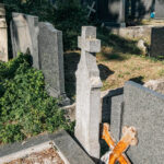 Споменик Алекси Богдановићу на гробљу на потесу Поље у Кремнима (фото Бојан Радојичић)