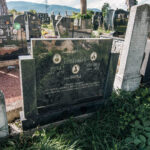 Споменик Здравку Селаковићу на гробљу на потесу Поље у Кремнима (фото Бојан Радојичић)