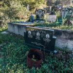 Споменик Томи Врачарићу на Ружића гробљу у Кремнима (фото Бојан Радојичић)