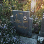 Споменик Млађену Панићу на Ружића гробљу у Кремнима (фото Бојан Радојичић)