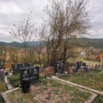 Гробље у Витасима, Кремна (фото Бојан Радојичић)