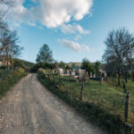 Гробље на потесу Бадањ у Мокрој Гори (фото Бојан Радојичић)