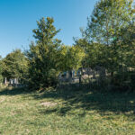 Гробље у Кршању у Мокрој Гори (фото Бојан Радојичић)