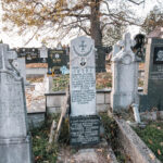 Споменик Лазару Радовићу на гробљу у Равањском пољу, Равни (фото Бојан Радојичић)