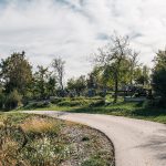 Гробље у Јеремићима у Трипкови, Чајетина (фото Бојан Радојичић)