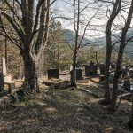 Гробље у Доњем Селу у Доброселици (фото Бојан Радојичић)