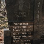 Споменик Андрији и Миловану Марјановићима на гробљу у Доњем Селу у Доброселици (фото Бојан Радојичић)