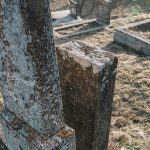 Споменик Станимиру и Маринку Марјановићима на гробљу код Прераста у Доброселици (фото Бојан Радојичић)