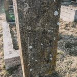 Споменик војнику на гробљу код Прераста у Доброселици (фото Бојан Радојичић)