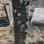 Споменик војнику на гробљу код Прераста у Доброселици (фото Бојан Радојичић)