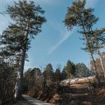 Централно гробље у Јабланици (фото Бојан Радојичић)