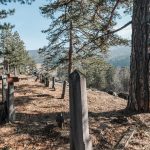 Споменик Раденку Рајовићу на централном гробљу у Јабланици (фото Бојан Радојичић)