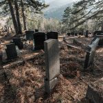 Споменик Богосаву Милекићу на централном гробљу у Јабланици (фото Бојан Радојичић)