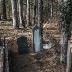 Споменик Бранку Томовићу на централном гробљу у Јабланици (фото Бојан Радојичић)