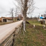 Крајпуташ Миливоју Кутлешићу на Рудинама (фото Бојан Радојичић)