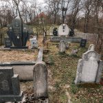Војиновића гробље у Бранешцима (фото Бојан Радојичић)
