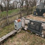 Споменик Драгутину Војиновићу на Војиновића гробљу у Бранешцима (фото Бојан Радојичић)