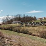 Ивановића гробље у Кривој Реци (фото Бојан Радојичић)