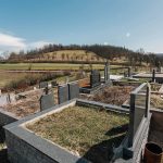 Ивановића гробље у Кривој Реци (фото Бојан Радојичић)