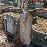 Споменик Чедомиру Зечевићу на Ивановића гробљу у Кривој Реци (фото Бојан Радојичић)