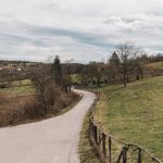 Јелисијевића гробље у Кривој Реци (фото Бојан Радојичић)