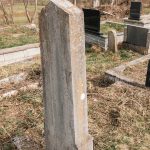 Споменик Стојану Вирићу на Јелисијевића гробљу у Кривој Реци (фото Бојан Радојичић)