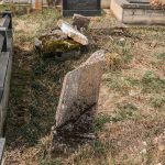 Споменик Радисаву Вирићу на Јелисијевића гробљу у Кривој Реци (фото Бојан Радојичић)