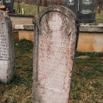 Споменик Василију Баковићу на Јелисијевића гробљу у Кривој Реци (фото Бојан Радојичић)