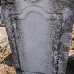 Споменик Војину, Велимиру и Љубомиру Шопаловићима на гробљу у Мачкату (фото Бојан Радојичић)