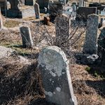 Споменик Драгутину Н. Дуловићу на гробљу у Мачкату (фото Бојан Радојичић)