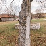 Споменик Благоју Божићу у порти Цркве Рођења Пресвете Богородице у Шљивовици (фото Бојан Радојичић)